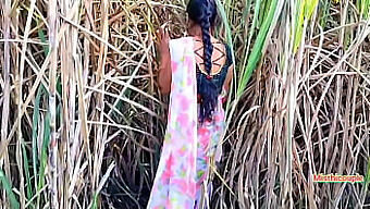 Outdoor Sex With Indian Neighbor In The Sugarcane Field