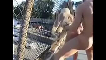 Outdoor Sex With Busty Blonde And Hardcore Fucking