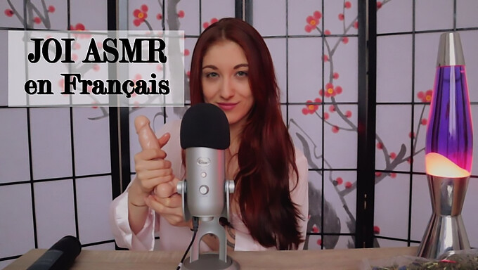 Trish Collins' engelsktekstede ASMR-instruksjonsvideo med en europeisk tenåring og sexleketøy