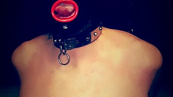 Slowenische Schlampe Wird In Bdsm-Session Ballbusted Und Versohlt