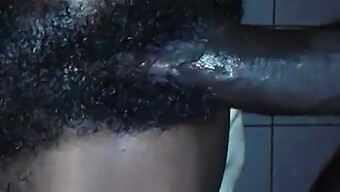 Black Ebony Gets Creampied And Cumshots